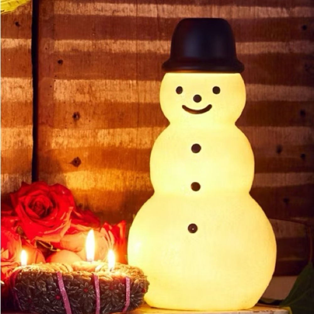 John Derian for Target 14" Snowman Lit Blow Mold NWT